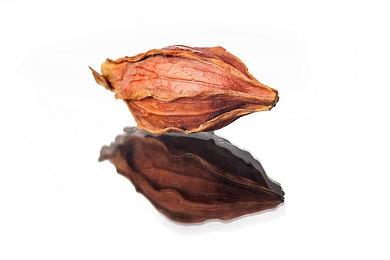 禁售《原子之心》？索尼已正式收到乌政府的信函